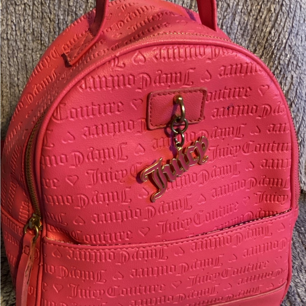 Juicy couture  Backpack - Picture 2 of 12
